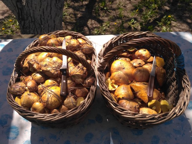 �������.� �������� ������ ����������� ����� ���