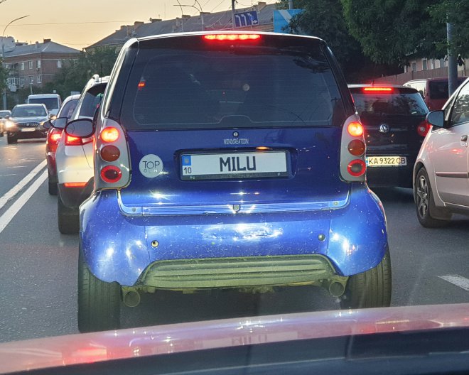 MILU