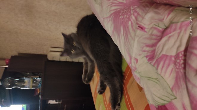       , , ,     .    ,       