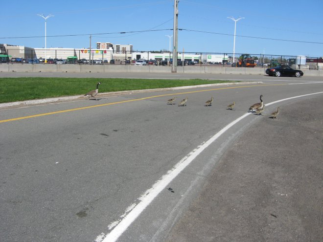 ������ � �������, �� �������� ����������, � ������������� ������ � ��������� ����������, �������������, �� ������ �� ����� "������� ���".���� ��������� �� �������