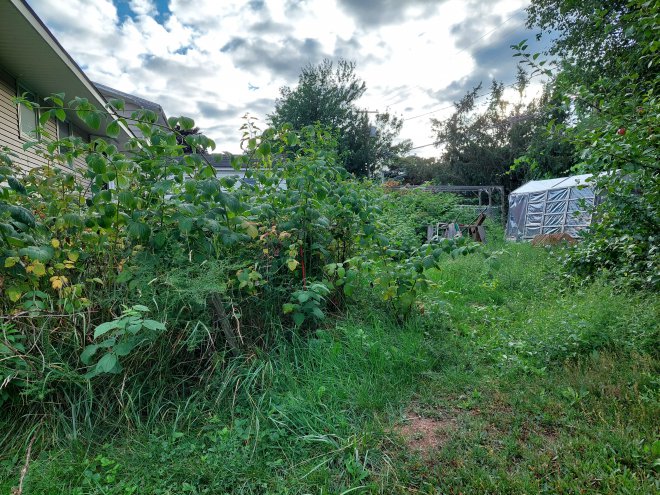 ����� � ��� �������. �� ��� ����� ���������� ����� ���� � �������� ����, ������ ������������