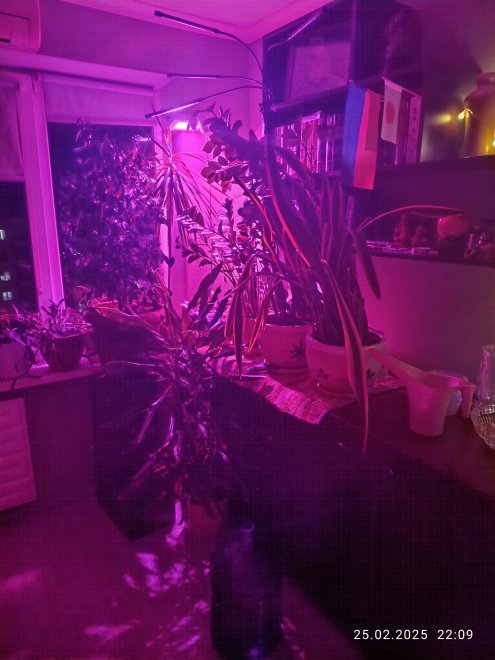 ������ �� ���� ������� �������  ������ ���� 2*2