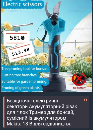  ,   ,  ,   , .    600+-,    ,   580  ,  ,   -   ,  