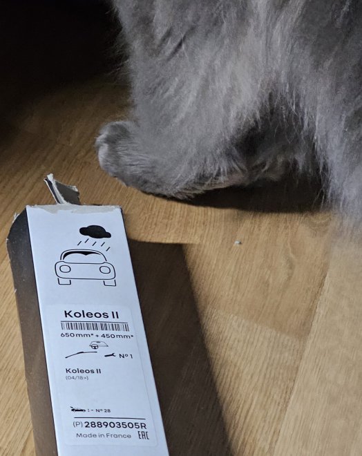   -  ,   .,     (   )  //SWF