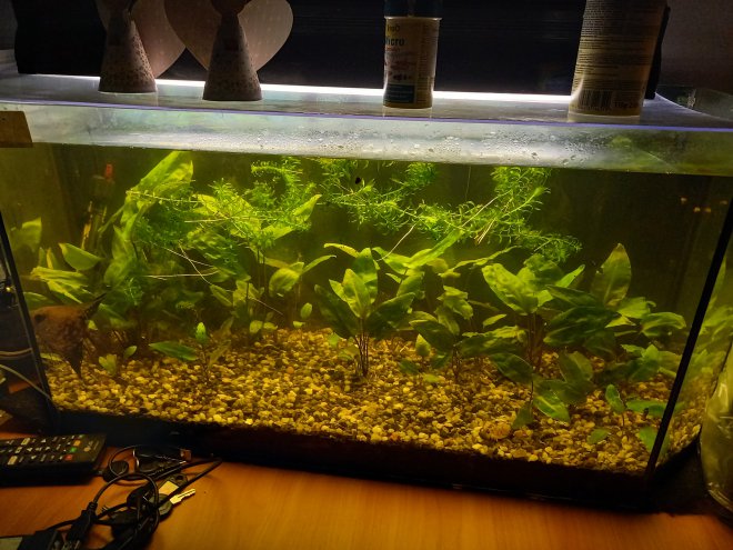  . ,           - 40+,        ,        ,      