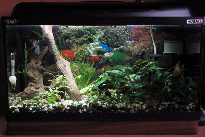         -    ,           ,       ,    -       .   -        ,     12(