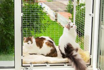 �� ���������� ������, � ������ �� �������� �� ����������, ���� ����� ������. � �����������: ��� � �������� ����� � �� ����� � �������, �� �� ���� ���� ������� �������