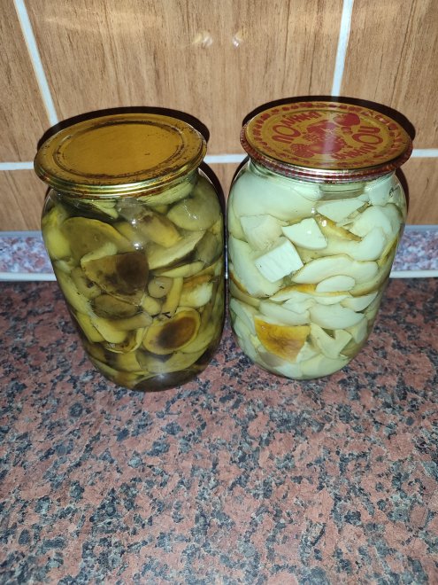 ������ ����� ������������ � �� � ������� (��������) ����� 1 � ֳ�� 300 ���, 400 ���