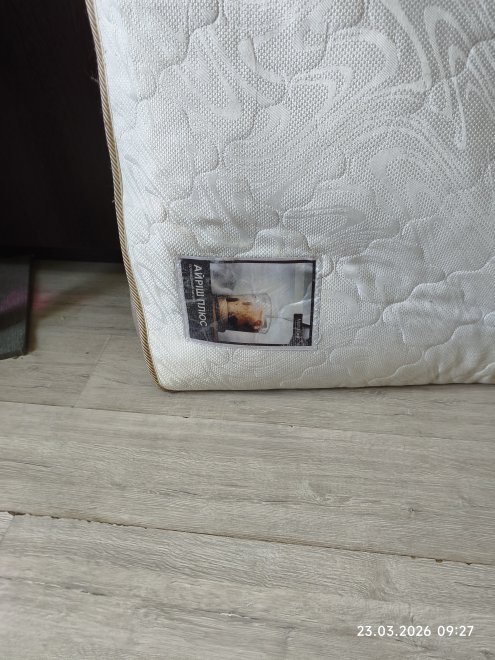 ������ ���� ����+