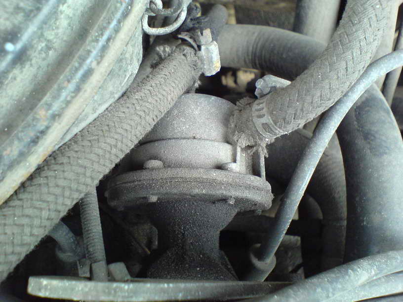 ��� ������� �������� ��� � ���� � ��� ����� ��������� �� ������� ��������� - - ����� ����� ��������� ��� ��� � Sasa4uk �� ������� �������