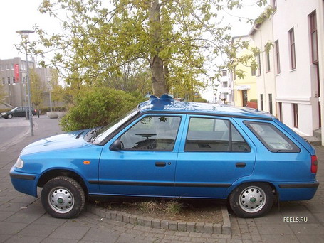 � �������� �������.