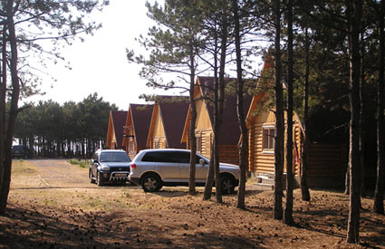 �� ����� - ����, ������ 100