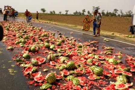 ����� �� ���� �� �����.� ������ ������ �� ������