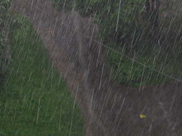 ˳     ,          ( "   ),        .    ,    ,       ,       