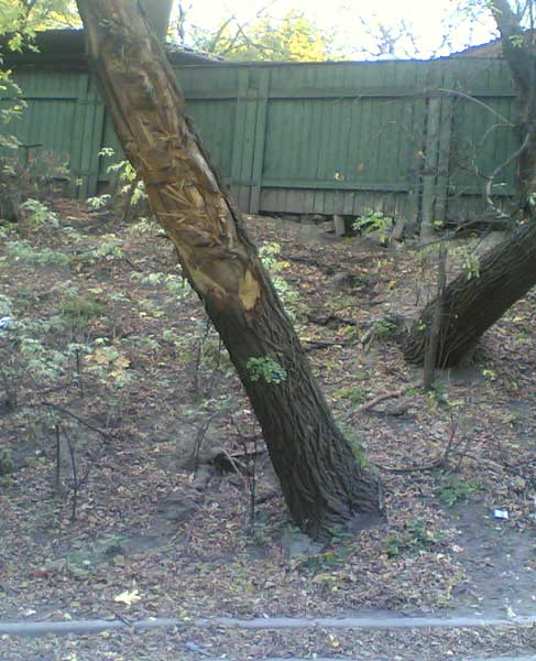 ������� ������ ������� ��� �� ��������. � ��������� �� �������� ������