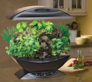 ��� ������. ������� ����������� ����������, ������� ������� 250 ���