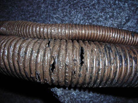 ������ ����� �� �������� ����� ���� �� ��� ������. ����� �� ���� ���������� ��� ��������� �������� �����