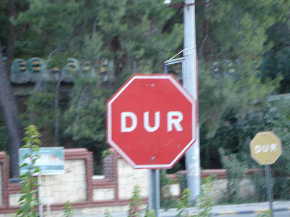        :