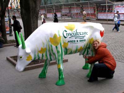 ������� � 8 ����� �����������