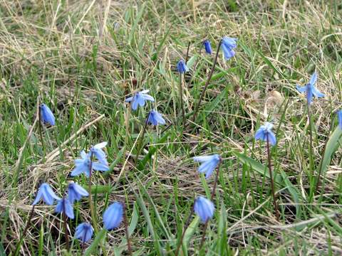 +1����� �����http://picasaweb.google