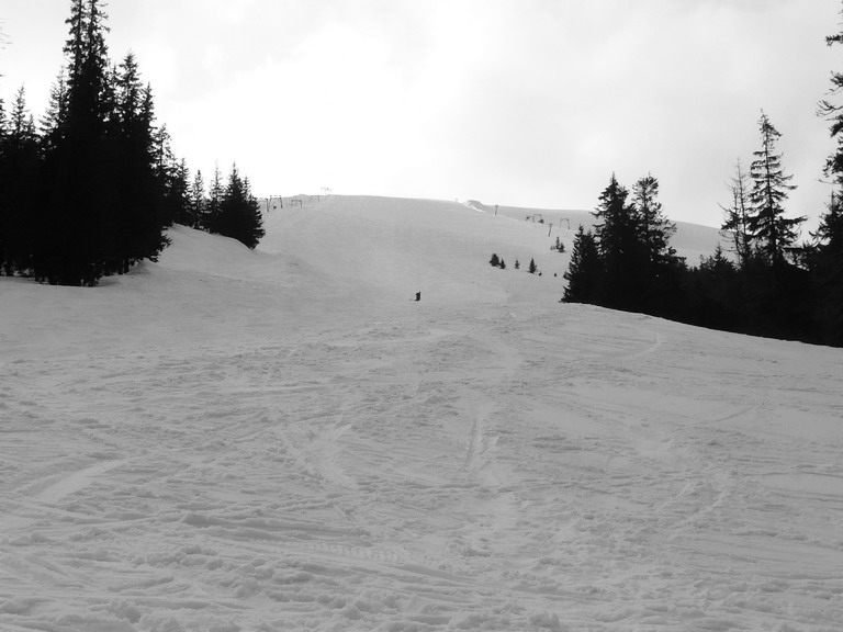 �� ��� �� � ���������  ���������� �� ����� � 6 �� 8 ������, ���������� ������� � ������ ��� ���������� �� �������� - �� ��� ��� ������ ������.����� ���� � ������� �� ����� � ���-�� ������: ����-�������-�����-������-���������-�����(��������)-��