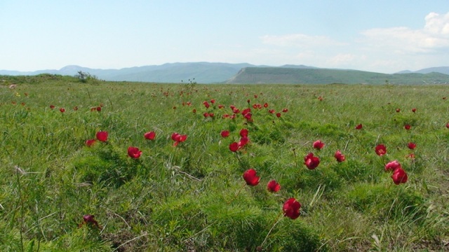 ������.������� �� ���� ��� ��� ��� ����  � ��������� ��� ����������� ��������