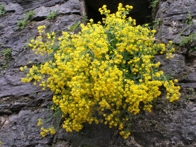  - http://worlds.ru/europe/ukraine/history2