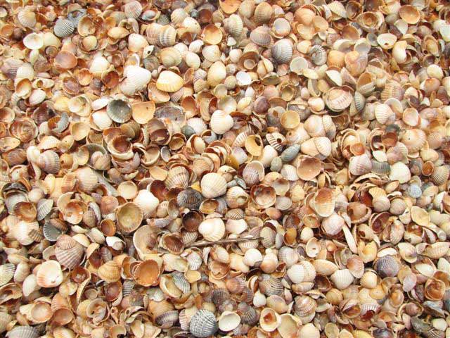 ������������ ���� ����� �������� ����� �������� - �� ���� ���� ����������� ���� ����� �� 14 ��������.������� ���� �� ����������� � ������ � ����������� �� �������� �����, ��� ����� ������ �������� � ���������� ������� �� �������� ����