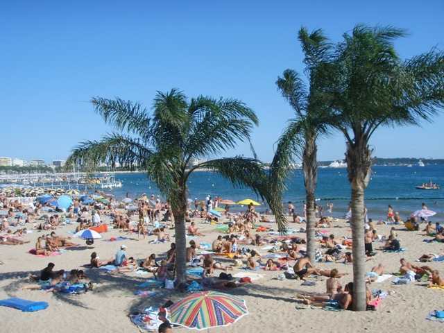 ���� ����� �������� �������