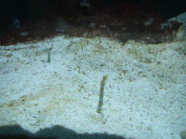 ����� ���������� ���� ����� ������������.