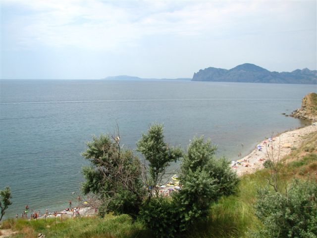  25           ,    .    -       