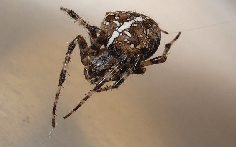 ��� � ��� ��� � �� ������ ��� ���������� ������, � ��� �� ������ --������ - ��. �����, � �������, �������� ���� �������