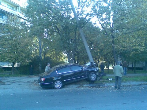 +6 ���������.