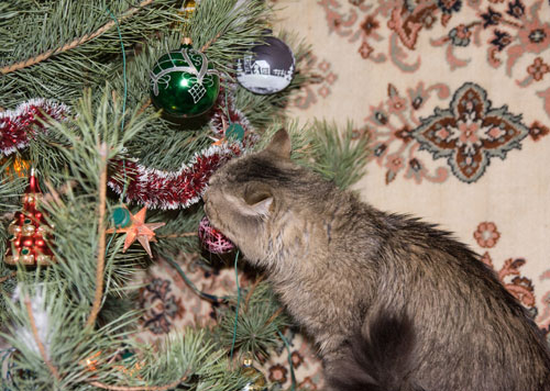 � ��� ��� ����� ����.��� �������� ������� � ��� ���� ����, ��� ���� ���� ������ ������