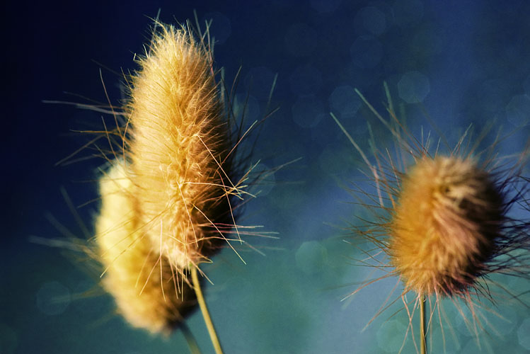 ���������.