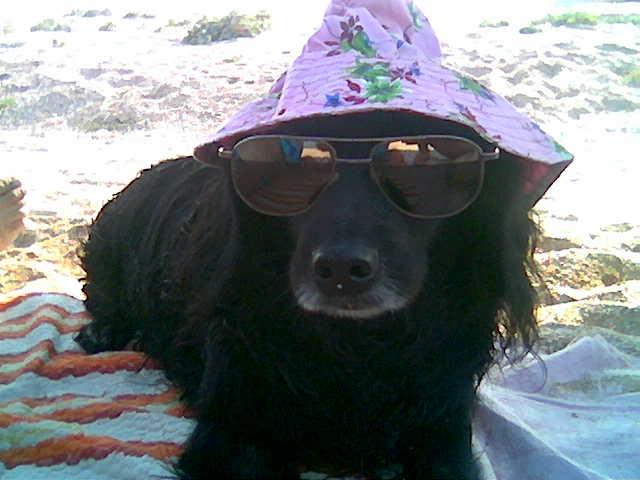 �����������.