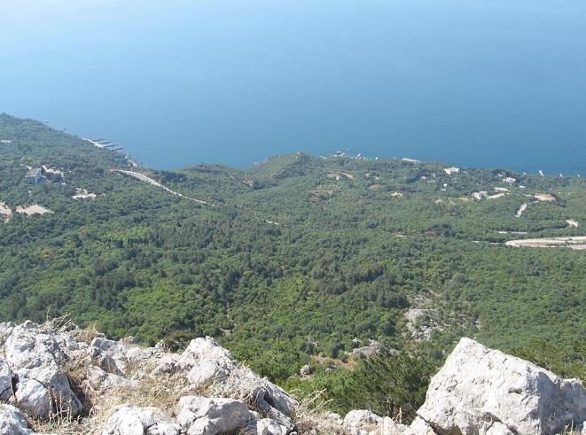 .    ( ),       ( )       (  )