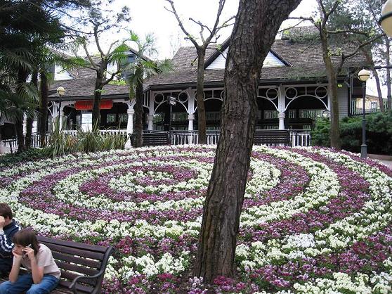           , " "  " "    ""     ,       .      , ,    