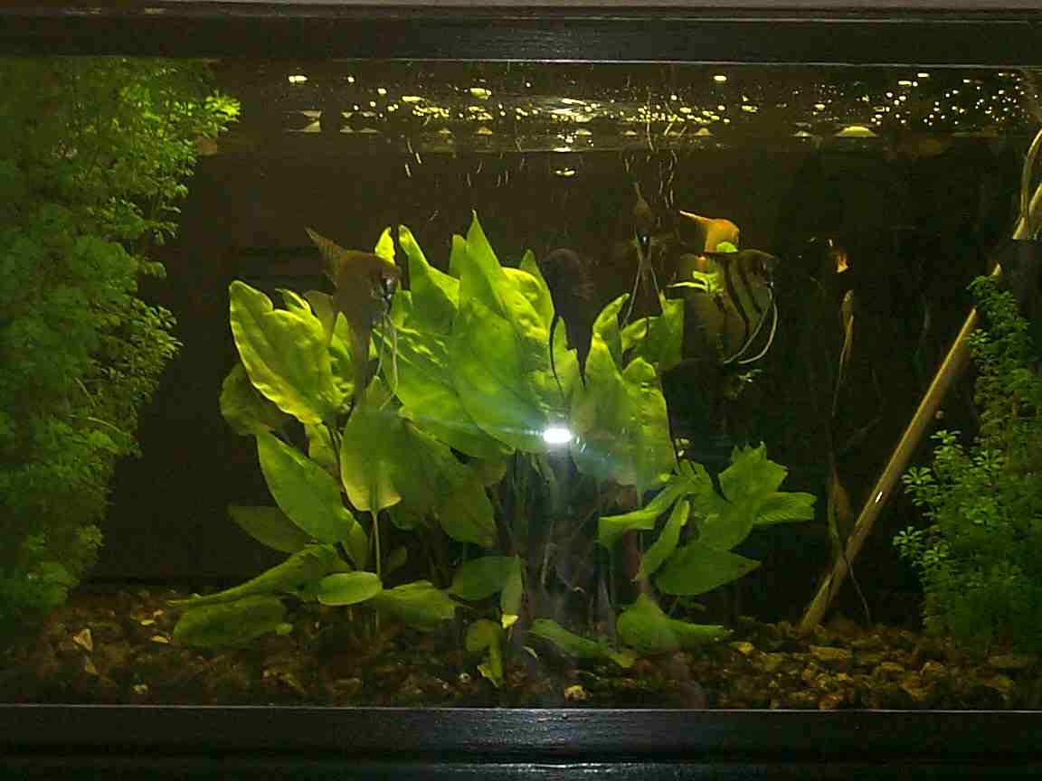 ,     5    20  ,      ,     .    ,     -,   