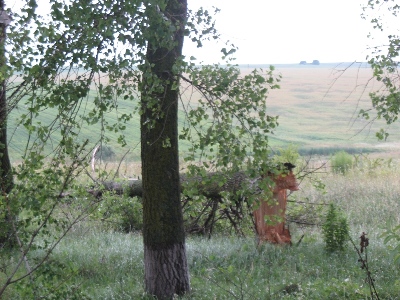 ����� ������