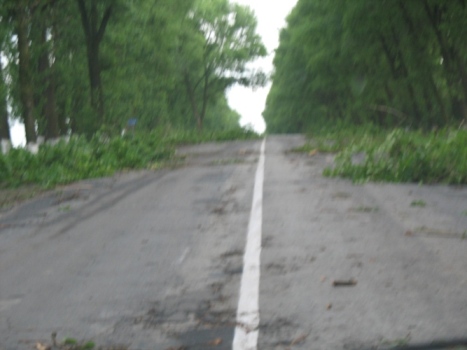 ��� ����