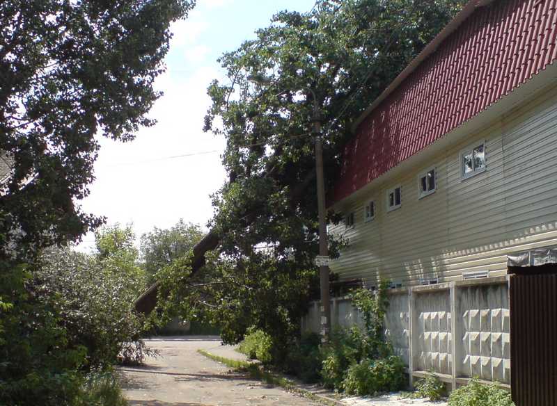 ������� ������� ��������� �� ���������������