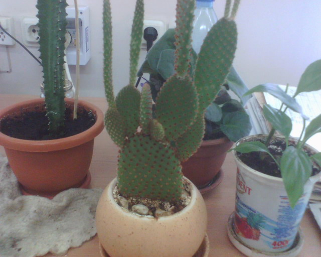 ��� ����� ����� ����. �������� ��� ���� ��� ������ �����, ��������� ������ ���� �� ����� ��������