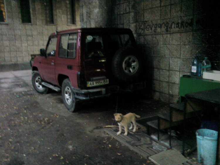 � ���� ����� ����������� � ������ ������ ��� ���� � ������, ��� � ���� � ������� ������ ��� ������������.