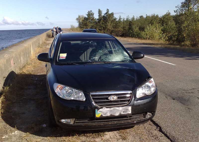 ������ �� �������� ���� �������� ����� �� ����� � �����. �������� ����� ������������ ��������� ������ � ���������� ���� �������� �� ������