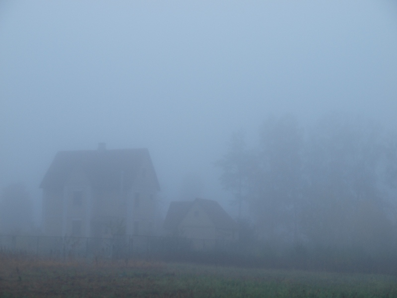  ,     -         -.  ,   ,      