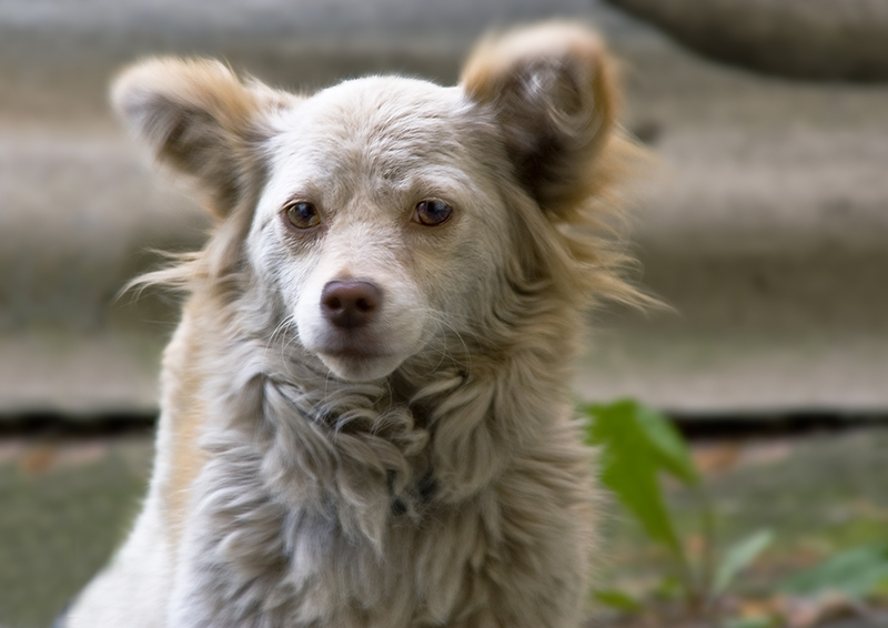  .   200  ( 300), 1/10 