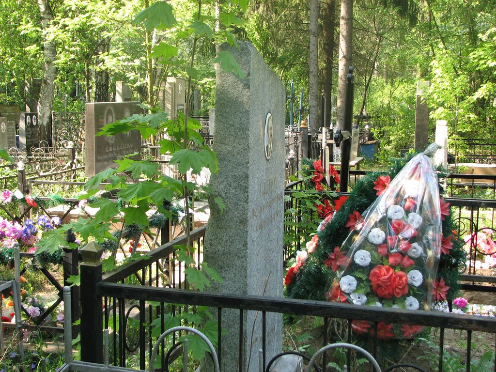  ,     .,     /  ,      ,     