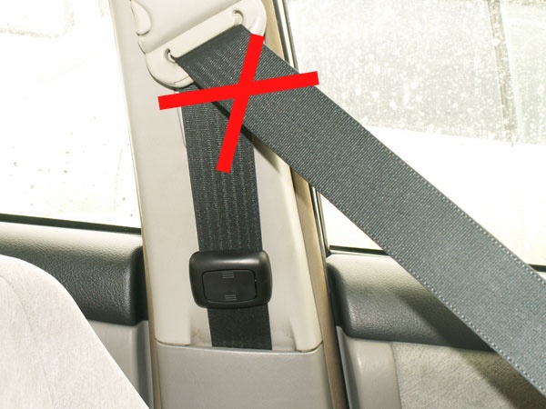  :      ,    -         .      ,          