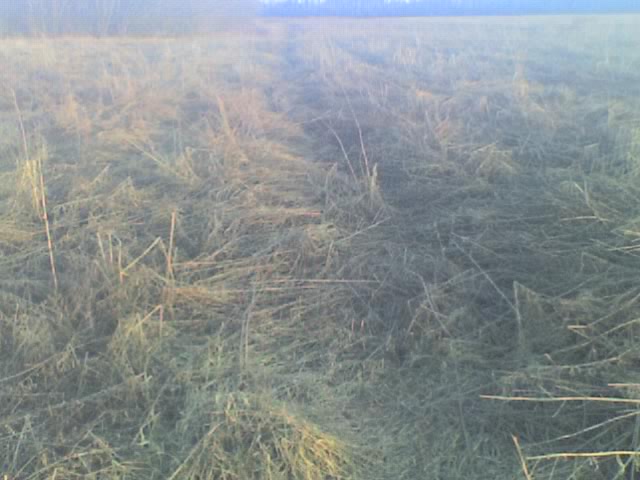  -    20     ,  1  
